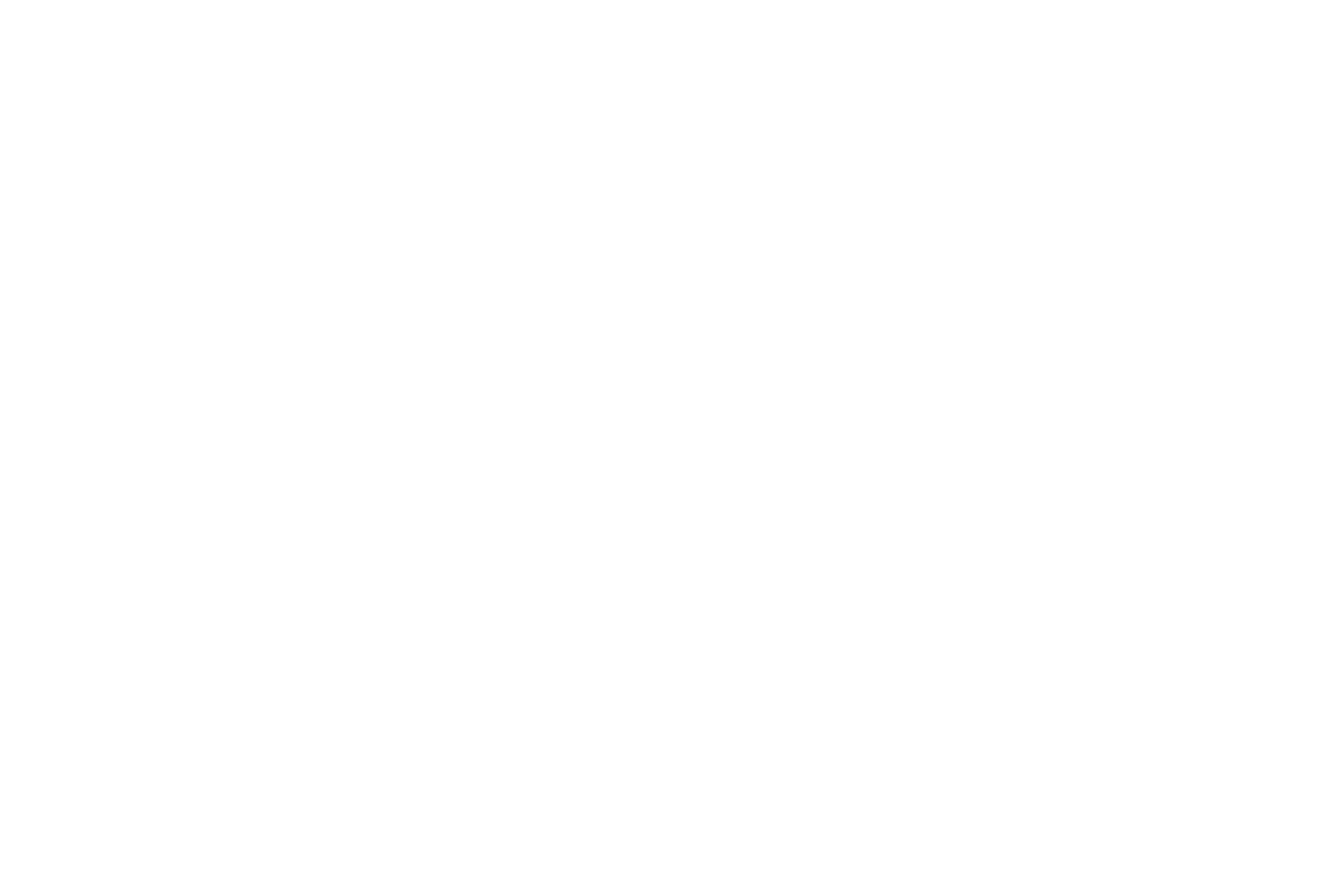 02_newyorkcity-branding-contents-1